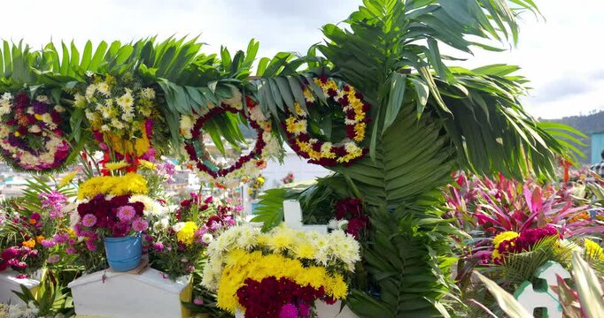 Flores en el cementerio, flores del pante&oacute;n