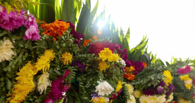El Pante&oacute;n, Cementerio y Las Flores Coloridas