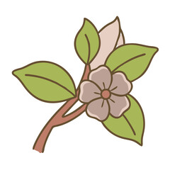 dogwood Flower Color vector design