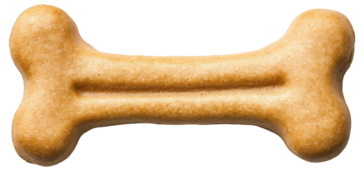 Bone-shaped dog biscuit on a white background
