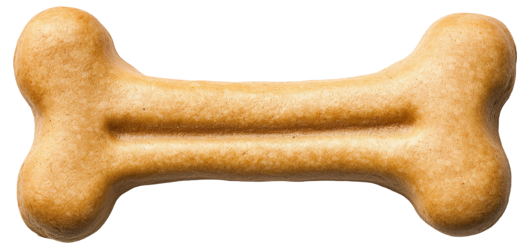 Bone-shaped dog biscuit on a white background