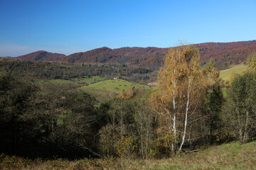 Landscape of old abandoned village Krywe with ruins of orthodox church in Bieszczady Mountains, Poland