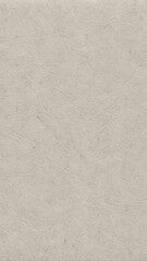 Fototapeta premium Light Taupe Paper Texture Background