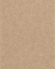 Fototapeta premium Sandy Brown Paper Texture Background