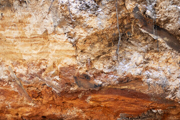 A detailed close up view of a rock that is covered with a lot of dirt