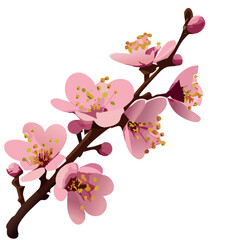 Pink Sakura Flower Branch Vector Illustration with Blooming Petals