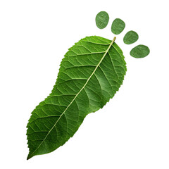 Obraz premium Green Footprint Leaf: Eco-Friendly Image