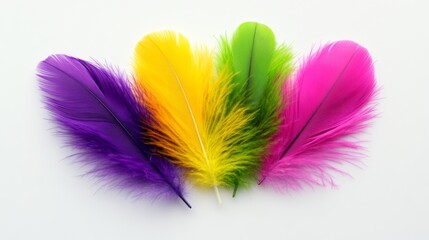 Obraz premium Group of colorful feathers are arranged in a row. The feathers are of different colors, including purple, yellow, green, and pink. The arrangement of the feathers creates a vibrant