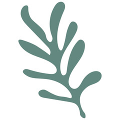 Coral Abstract Shape