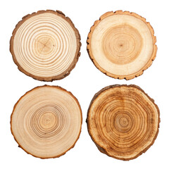 Obraz premium Wooden Tree Cross-Sections - Natural Wood Circles