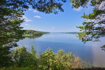 Obraz premium Picturesque view of the Volga River in the thickets of pine needles, Ivanovo region of Russia