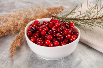 Ripe sweet sour cranberry heap