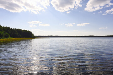 Golden sun glare on the surface of a forest lake