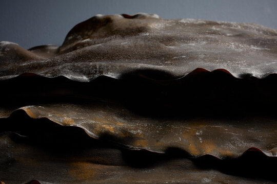 Kelp