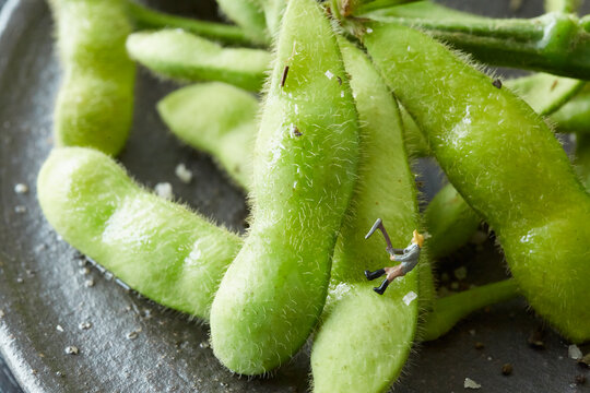 Edamame and miniature farmer's uncle