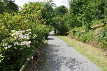 Weg im Schlossgarten und Schlosspark von Bad Berleburg