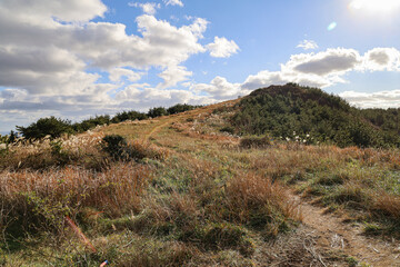 산 정상에서 보는 풍경 제주 서귀포시 표선면 성읍리 백약이오름