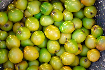 A glimpse into natural agriculture with organically grown fruit, highlighting chemical-free processes, sustainable orchards, and eco-friendly farming methods for fresh and toxin-free produce