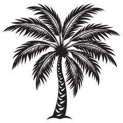 Palm Tree Silhouette on a white background