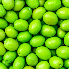 Food background of Fresh Harvested Green Olive for olive oil production pattern texture. Raw fruit for olive oil. Green backdrop of autumn season olive crop