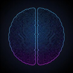 brain