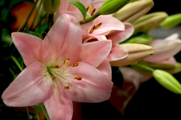 Flowers in a bouquet on a table at home