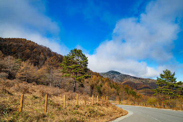 群馬県嬬恋村　湯の丸高原の秋の風景