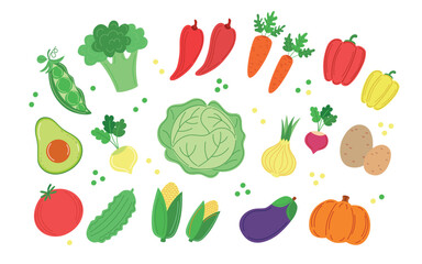 Vegetables set isolated on white background. Veggies set vector, different vegetables in flat design, vegetables complect isolated on white.  