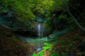 長野県小諸市布引山　釈尊寺の秋の風景