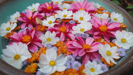 マーガレットなどキク科の花がたくさん浮かんだ円形の花手水