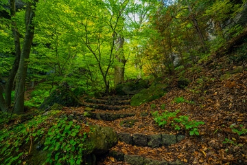 長野県小諸市布引山　釈尊寺の秋の風景