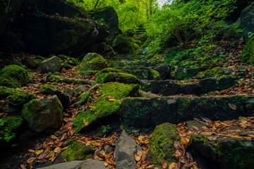 長野県小諸市布引山　釈尊寺の秋の風景