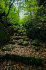 長野県小諸市布引山　釈尊寺の秋の風景