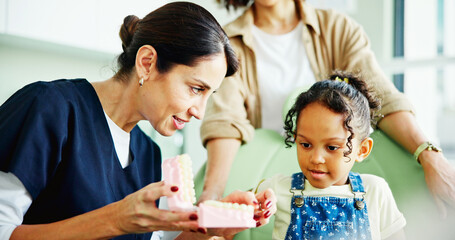 Dentist, girl and child with learning, model and info with listening, oral care and advice at...