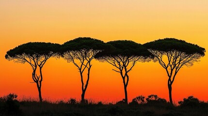 Silhouettes of Trees Against a Vibrant Orange Sunset Sky