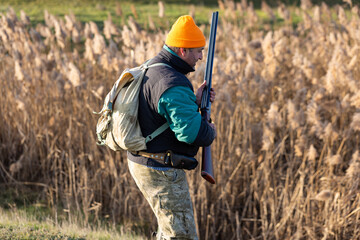 Mature hunter man holding a shotgun and walking through a field
