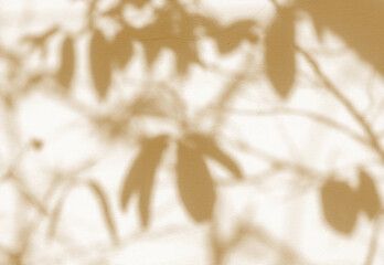 Obraz premium cement wall background. floor and brown gold shadow tree leaves background.
