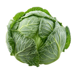 Obraz premium Front view of an extremely perfect-looking single cabbage head isolated on a white transparent background