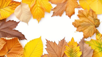 Fototapeta premium Fall Leaves in Rich Colors Framing a Blank Space for Text or Design, Capturing the Essence of Autumn with Warm Hues and Natural Beauty