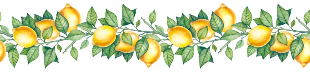 Borders of hand drawn lemons, illustration on a white background.Watercolor seamless border