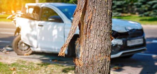 Car accident, tree with visible bark damage and vehicle extensive front-end destruction. Damaged tree and wrecked car on background after high-impact collision, safety hazards, car destruction