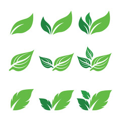 Green Leaf Logo Vector Illustration