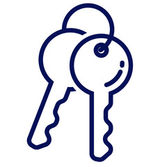 Simple key vector illustration with outline design suitable for icon