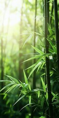 Obraz premium Lush green bamboo forest with sunlight filtering through vibrant leaves.