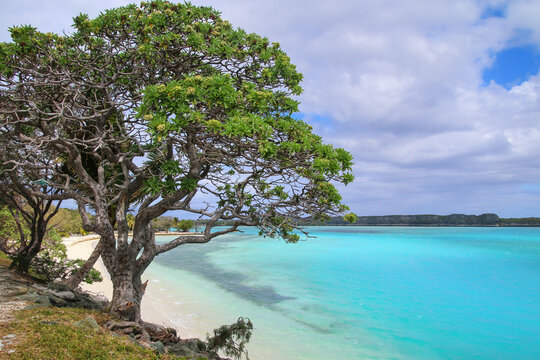 Lekiny Bay on Ouvea Island, New Caledonia.
