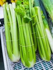 Obraz premium Leaf stalks of celery, fresh vegetables on farmers market stall close up.