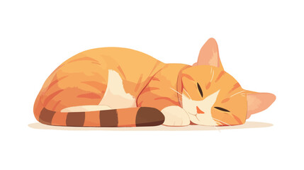 Cat is sleeping on a white background. The cat is orange and has black stripes