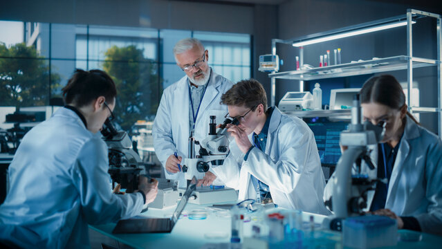 Young Team of Science Researchers Sitting Behind a Table, Using Microscopes for Medical Pharmaceutical Research and Treatment Development. Senior Scientist Supervising the Project