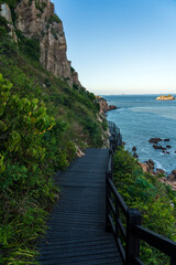 Obraz premium Scenic Coastal Pathway Through Lush Greenery Overlooking Ocean