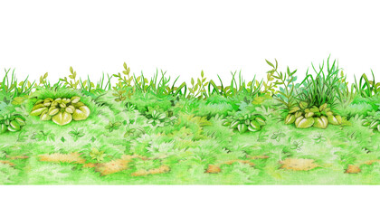 Green fresh grass background seamless border on white background. Hand drawn watercolor illustration. Lush grass meadow countryside landscape element. Spring season natural plants background